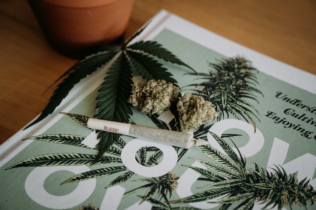 Cannabis Joint