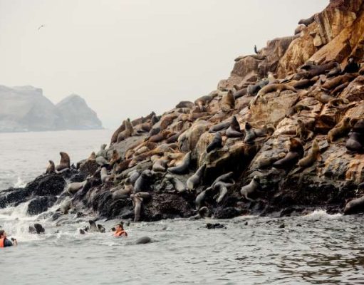 Four Easy Day Trips from Lima Peru