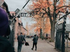 Two-day trip to Poland with Auschwitz tour – how can I plan it?