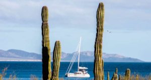 Sail to These Tropical Destinations this Winter 2023