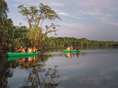 Say Hello to 2023 In The Ecuadorian Amazon