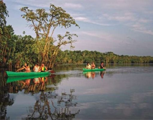 Say Hello to 2023 In The Ecuadorian Amazon