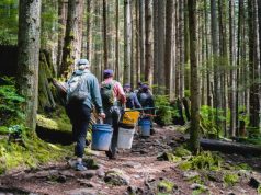 Impact of Giving at the Heart of MEC