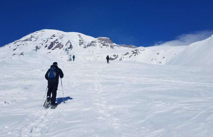 Snowshoeing at Paradise at Mount Rainier