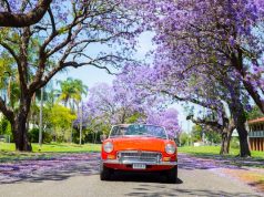 Springtime in New South Wales, Australia