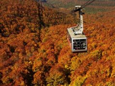 Authentic Autumn Adventures: Taking in the Colorful Sights in Tohoku