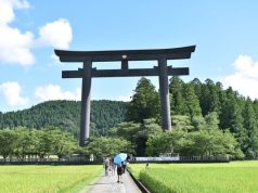 Japan a Country of Endless Discovery, the Best Time to Visit for Luxury Travel