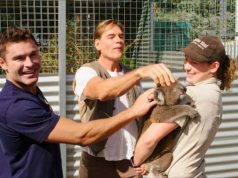 Zac Efron’s favorite Australian sustainable travel experiences