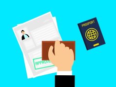 How Can Immigration Consultants Help to Get Your US Citizenship?