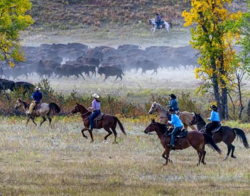Plan a Year of Adventure in South Dakota: 12 months of unique travel experiences