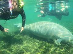 SeaDaddys Debuts Its Nature Adventure Center