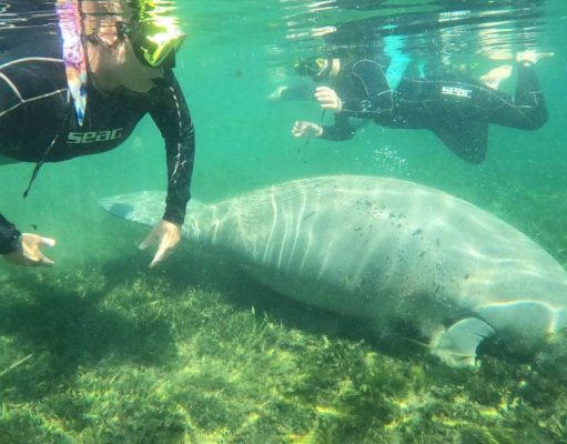 SeaDaddys Debuts Its Nature Adventure Center