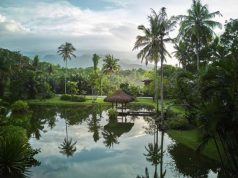 Celebrating 20 Years of Holistic Health & Wellness: The Farm at San Benito