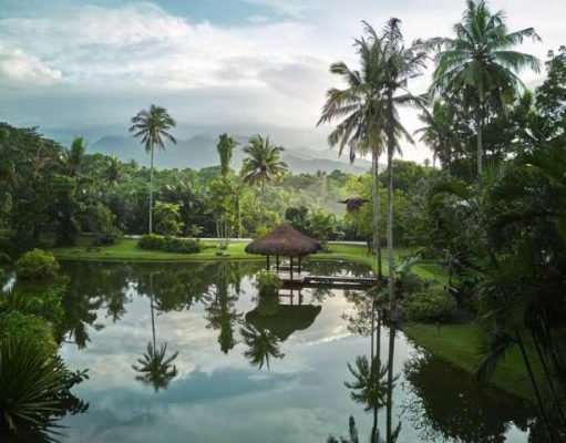Celebrating 20 Years of Holistic Health & Wellness: The Farm at San Benito