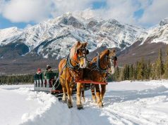 Guide to a Happy Holiday Season in Jasper, Canada