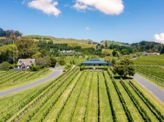 Visit New Zealand’s Food and Wine Country This Holiday Season