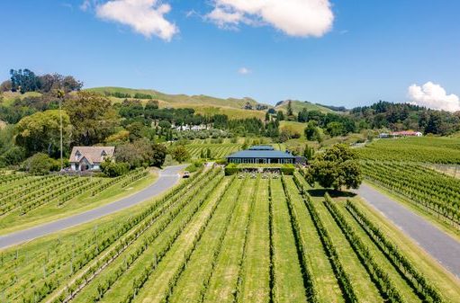 Visit New Zealand’s Food and Wine Country This Holiday Season