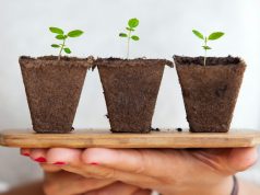 The Fundamentals of Plant Fertilization