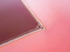 Viva Magenta | Best places around the world to see PANTONE 2023 color of the year