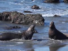 Special Places to Visit Along the California Coast