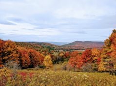 Why you should add West Virginia to your travel bucket list