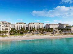 What’s New This Season along Florida’s Paradise Coast