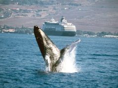 Solar Eclipse Cruises and Historic Baja & Sea of Cortez Voyage Highlight Holland America Line’s 2023-2024 West Coast Sailings