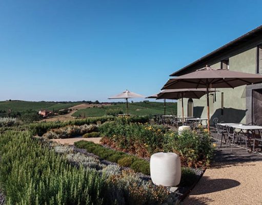 Biodynamic winery and mansion in Italy