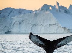 Explore the World’s Last Great Frontier on Your Next Great Adventure