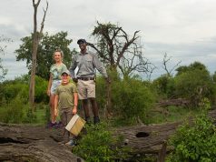 Find Fun for All the Family in Zimbabwe