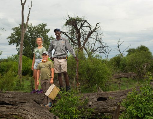Adventure for All Ages Awaits at Great Plains’ Young Explorers Programme in Botswana, Kenya and Zimbabwe