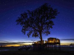 Get Ready for a Wild Night with Wilderness