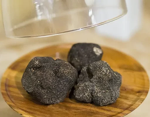 Next Level Dining Experience, Truffle Edition at the Majestic Hotel & Spa Barcelona