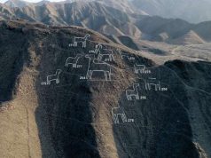 Inca sites, Geoglyphs, Llamas and more in Peru