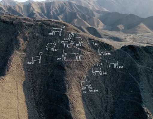 Inca sites, Geoglyphs, Llamas and more in Peru