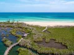 The Bahamas: Going Green In Paradise