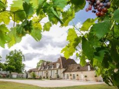 7 Château Hotels in France’s Vineyards
