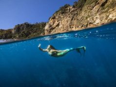 Dive into a New World in New Zealand