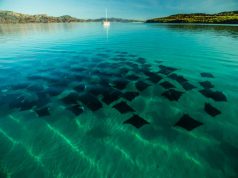 Sailing Adventures in Loreto, Baja California Sur, Mexico