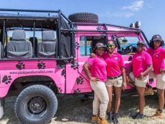 Can’t-Miss Tours in Antigua and Barbuda