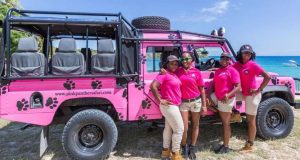 Can’t-Miss Tours in Antigua and Barbuda