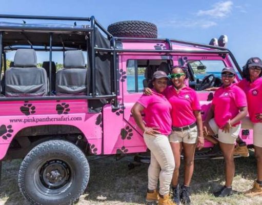 Can’t-Miss Tours in Antigua and Barbuda