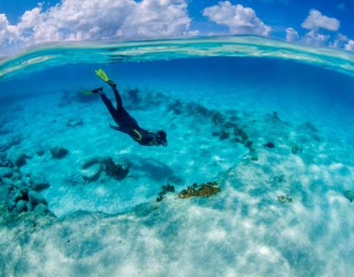 Alexey Molchanov Makes History in Bonaire Breaking Freediving World Record
