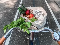 8 Tips for Inserting Healthier Habits into Your Life