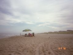 Experience the Charm of Coastal Living With a Long Beach Island Rental