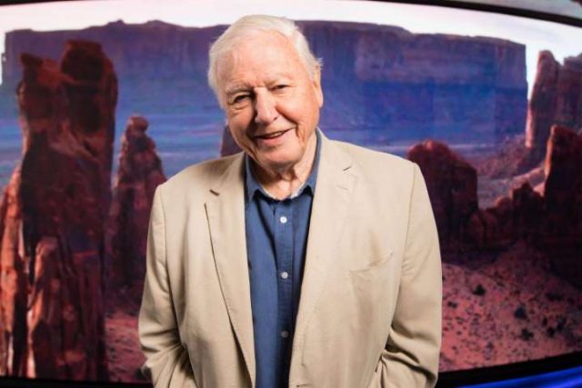 Compare Your Travel To David Attenborough Jarastyle travel