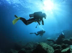 Divers Around The World Flock To The Bay Of Loreto To Experience Over 100 Dive Sites In “The Aquarium Of The World”
