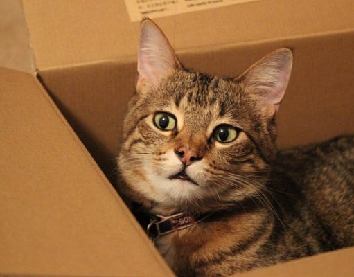 Preparing for the Big Move: Tips and Strategies for Relocating to a New Country