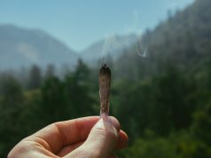 The Ultimate Guide to Traveling with Cannabis: Do’s and Don’ts