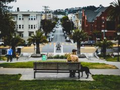 The Ultimate Guide to Finding Pet-Friendly Hotels in San Francisco: Tips and Tricks